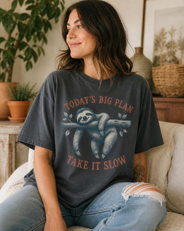 Funny Sloth Shirt, Today's Big Plan Take It Slow Tee, Sarcastic Sloth Shirt, Sloth Lover Gift, Comfort Colors Tee