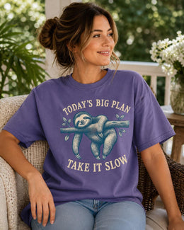 Funny Sloth Shirt, Today's Big Plan Take It Slow Tee, Sarcastic Sloth Shirt, Sloth Lover Gift, Comfort Colors Tee