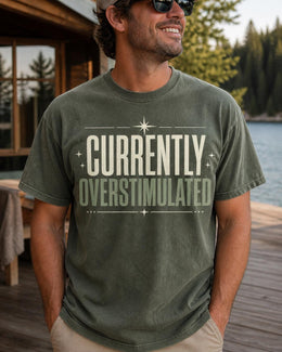 Currently Overstimulated Shirt, Funny Anxiety Tee, Mental Health Humor Shirt, Introvert Comfort Colors T-Shirt