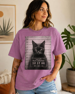 Black Cat Mugshot Shirt, Funny Cat Shirt, Sarcastic Animal Tee, Cat Lover Comfort Colors T-Shirt