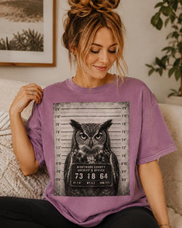 Owl Mugshot Shirt, Funny Owl Shirt, Sarcastic Animal Tee, Wildlife Lover Comfort Colors T-Shirt, Owl Gift
