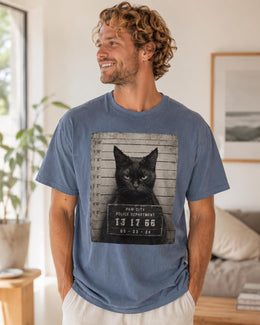 Black Cat Mugshot Shirt, Funny Cat Shirt, Sarcastic Animal Tee, Cat Lover Comfort Colors T-Shirt